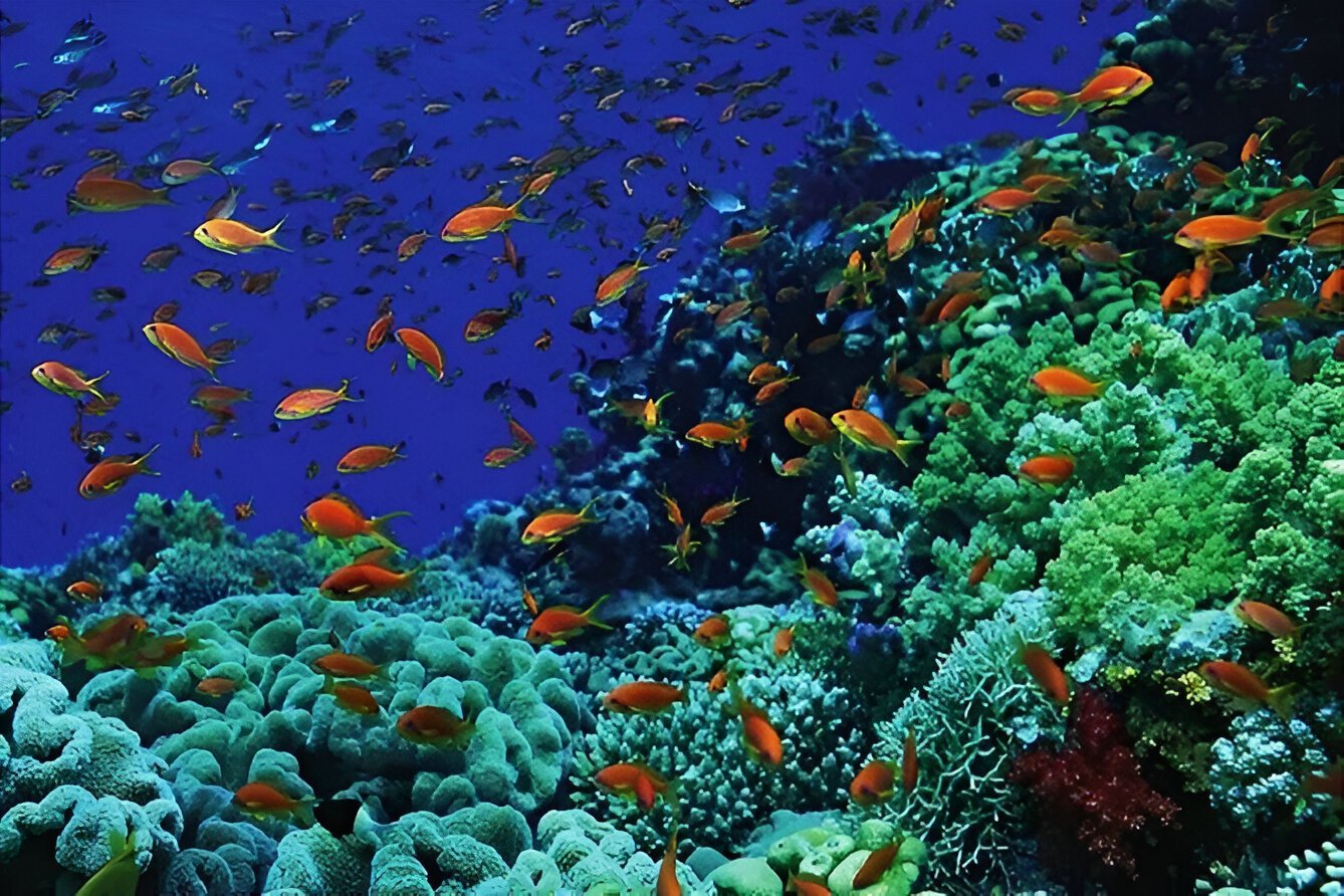 Immagine della galleria